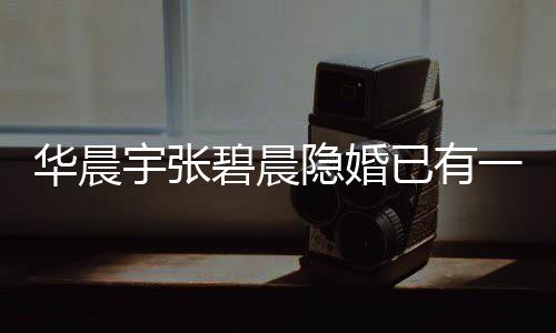 碧晨华晨孩子华回应堂哥宇张隐婚已有一岁晨宇