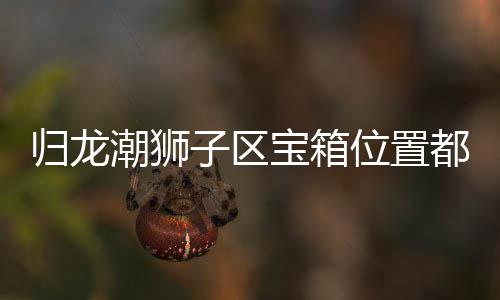 位置箱位享哪里宝箱子区置分龙潮归龙 归都在潮狮狮子区宝