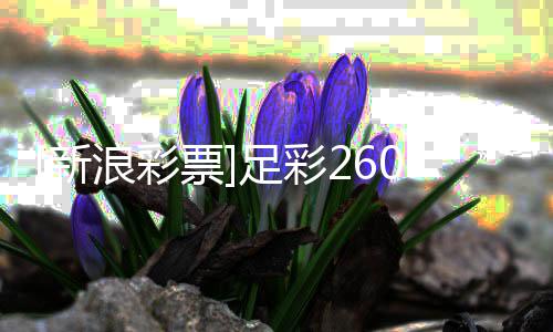 新足彩浪彩罗姆投注特票策略瑟赢9期球